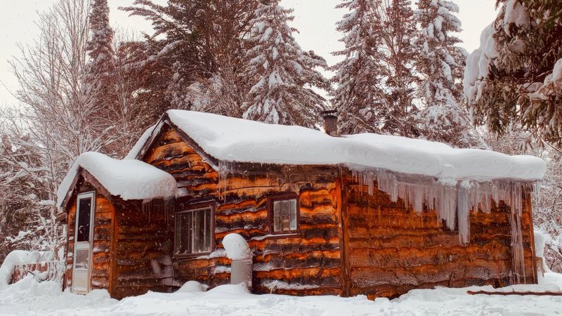 The Cabin