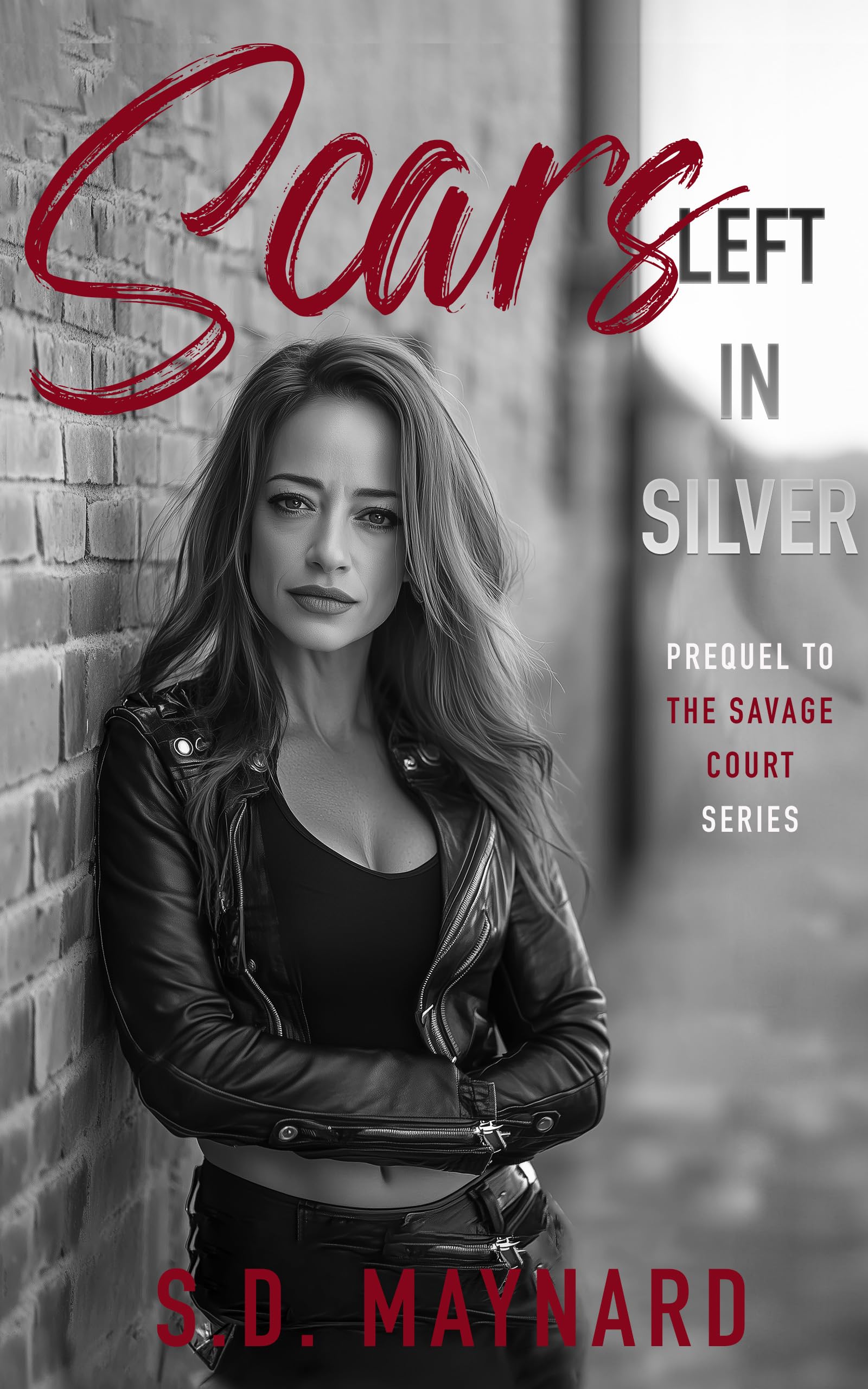 Scars Left in Silver Book Cover